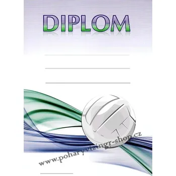 VIZINGR Volejbal diplom A4 č.4