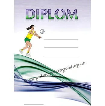 VIZINGR Volejbal diplom A4 č.2