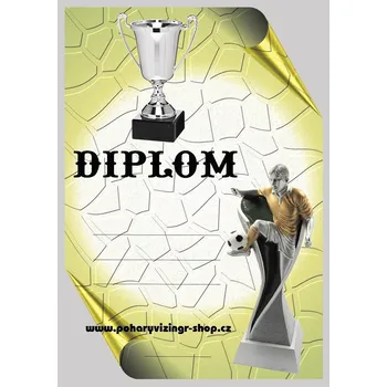 Nohejbal diplom A4 č.12