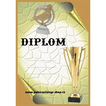 VIZINGR Holubáři diplom A4 č.20