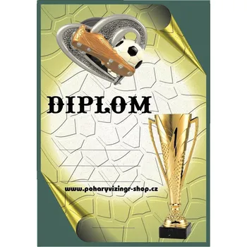 VIZINGR Fotbal diplom A4 č.45