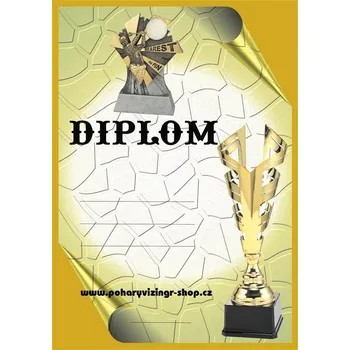 VIZINGR Nearest the pin diplom A4 č.10