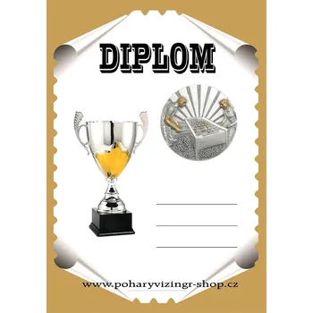 VIZINGR St.fotbálek diplom A4 č.5