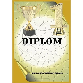 VIZINGR Diplom A4 Dč.51