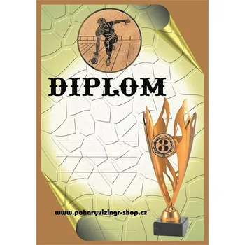 VIZINGR Bowling muž diplom A4 č.30