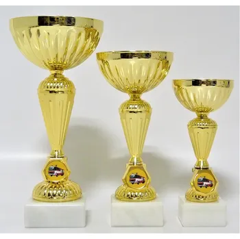 VIZINGR Hasiči poháry 317-L19