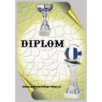 Volejbal diplom A4 č.35
