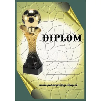 VIZINGR Fotbal diplom A4 č.46