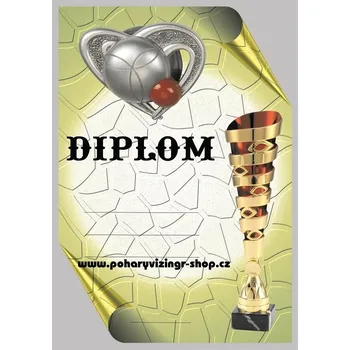 VIZINGR Pétanque diplom A4 č.11