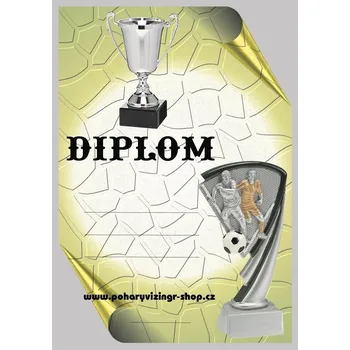 Fotbal diplom A4 č.49