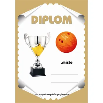 VIZINGR Bowling diplom č.23