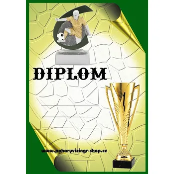 Nohejbal diplom A4 č.13