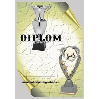 VIZINGR Judo diplom A4 č.7