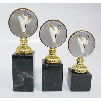 Karate trofeje 47-FG005