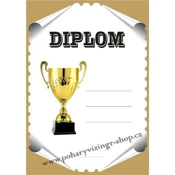 VIZINGR Diplom A4 D č.43