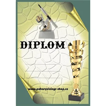 VIZINGR Naviják diplom A4 č.29