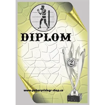 VIZINGR Box diplom A4č.8