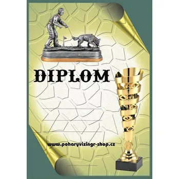 Stopa diplom A4 č.56