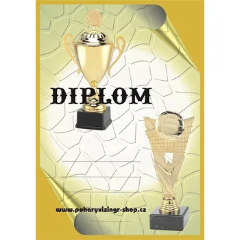 Volejbal diplom A4 č.34