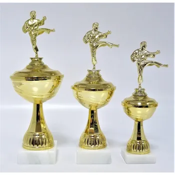 VIZINGR Karate poháry X22-F10