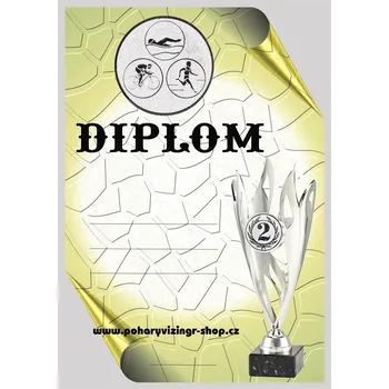 VIZINGR Triatlon diplom A4 č.6