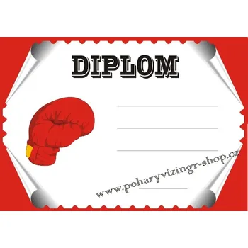 VIZINGR Box diplom A4 č.2