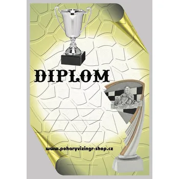 VIZINGR Motokáry diplom A4 č.6