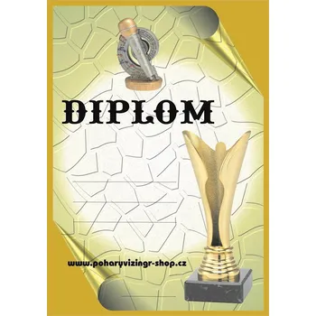 VIZINGR Hudba diplom A4 č.8