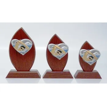 Dřevěná hračka Plavání dřevo H161-3-2516