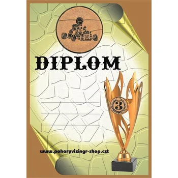 VIZINGR Motokáry diplom A4 č.9