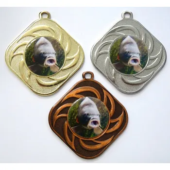 Ryba medaile DI5010-L221 Stuhu vyberte z naší nabídky.