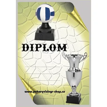 Volejbal diplom A4 č.36