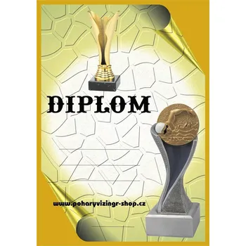 VIZINGR Plavání diplom A4 č.17