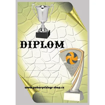 Volejbal diplom A4 č.32