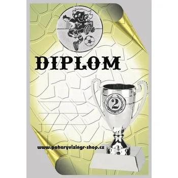 VIZINGR Fotbal děti diplom A4 č.54