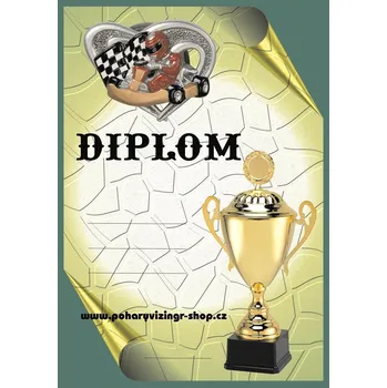 VIZINGR Motokáry diplom A4 č.3