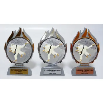 Judo plakety Q120-FG004