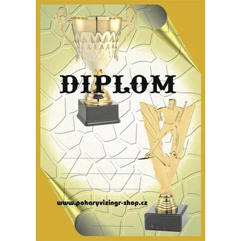 VIZINGR Běžky diplom A4 č.31