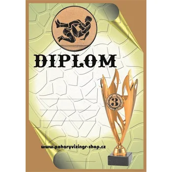 VIZINGR Zápas diplom A4 č.3