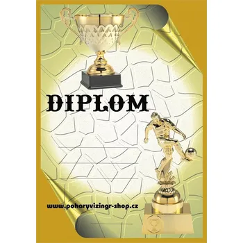 Nohejbal diplom A4 č.16