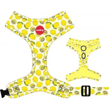 Postroj pro psa Postroj Reedog LEMON - XS