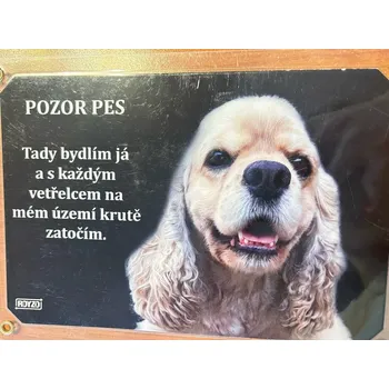 Informační tabulka Americký kokršpaněl světle hnědý