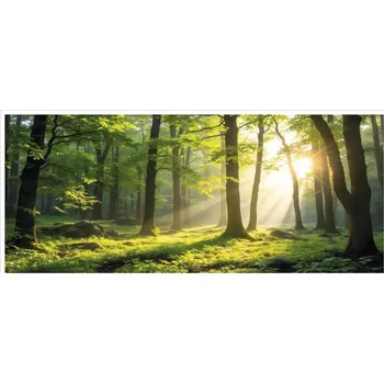 Obraz Obraz v rámu "Les" 50x100cm