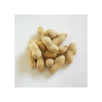 Krmivo pro hlodavce apetit buráky ve slupce (neloupané) 1kg