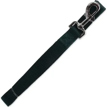 Vodítko pro psa Vodítko DOG FANTASY Classic zelené L