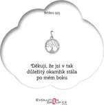 Pavona OB46 stříbrný