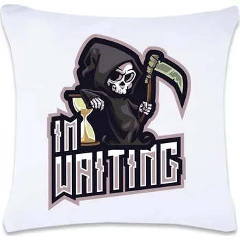Dekorativní polštářek DOBRÝ TRIKO Polštář s potiskem 40 x 40 cm Im waiting Oboustranný tisk: NE