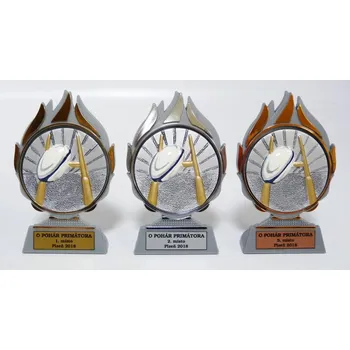 Ragby plakety Q120-FG018