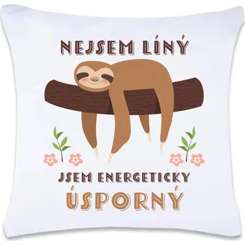 Dekorativní polštářek DOBRÝ TRIKO Polštář s potiskem 40 x 40 cm Energeticky úsporný Oboustranný tisk: NE