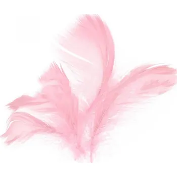 Party dekorace Peří v sáčku 10g růžové